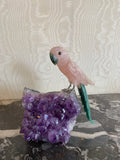 Perroquet Quartz Rose Jade Néphrite Aventurine Améthyste