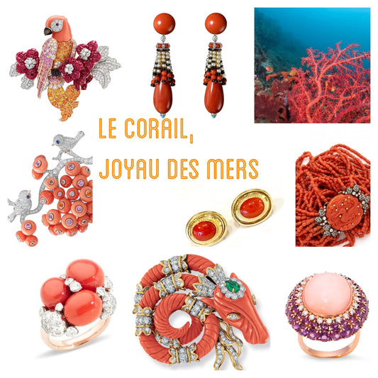 Le Corail, Le Joyau Des Mers