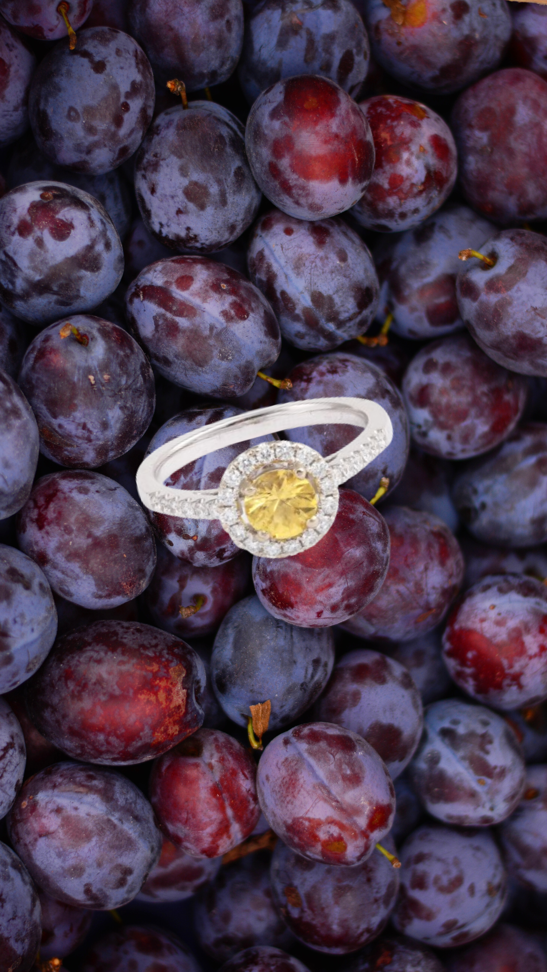 Yellow Sapphire Diamonds 18 Carat White Gold Marguerite Ring