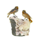 Gübelin Couple de Moineaux Sculpture Agate Calcite