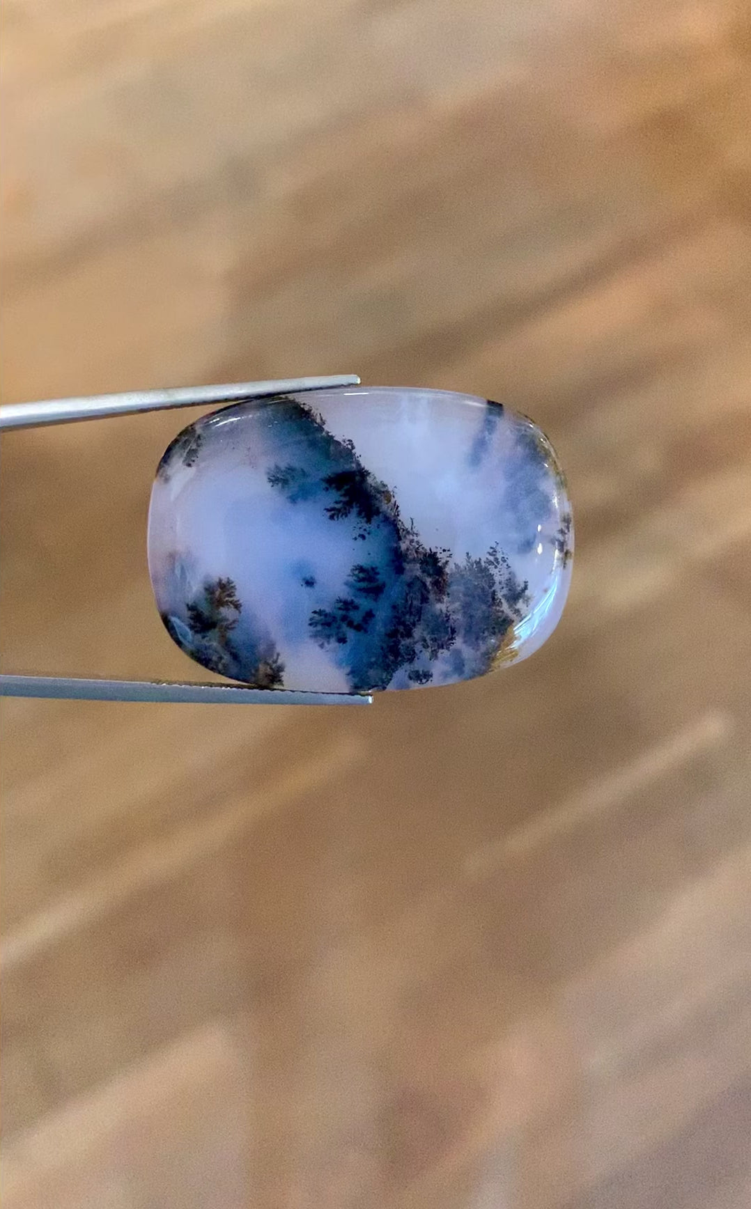 Plaque Cabochonnée Agate Dendritique 41.73 Carats