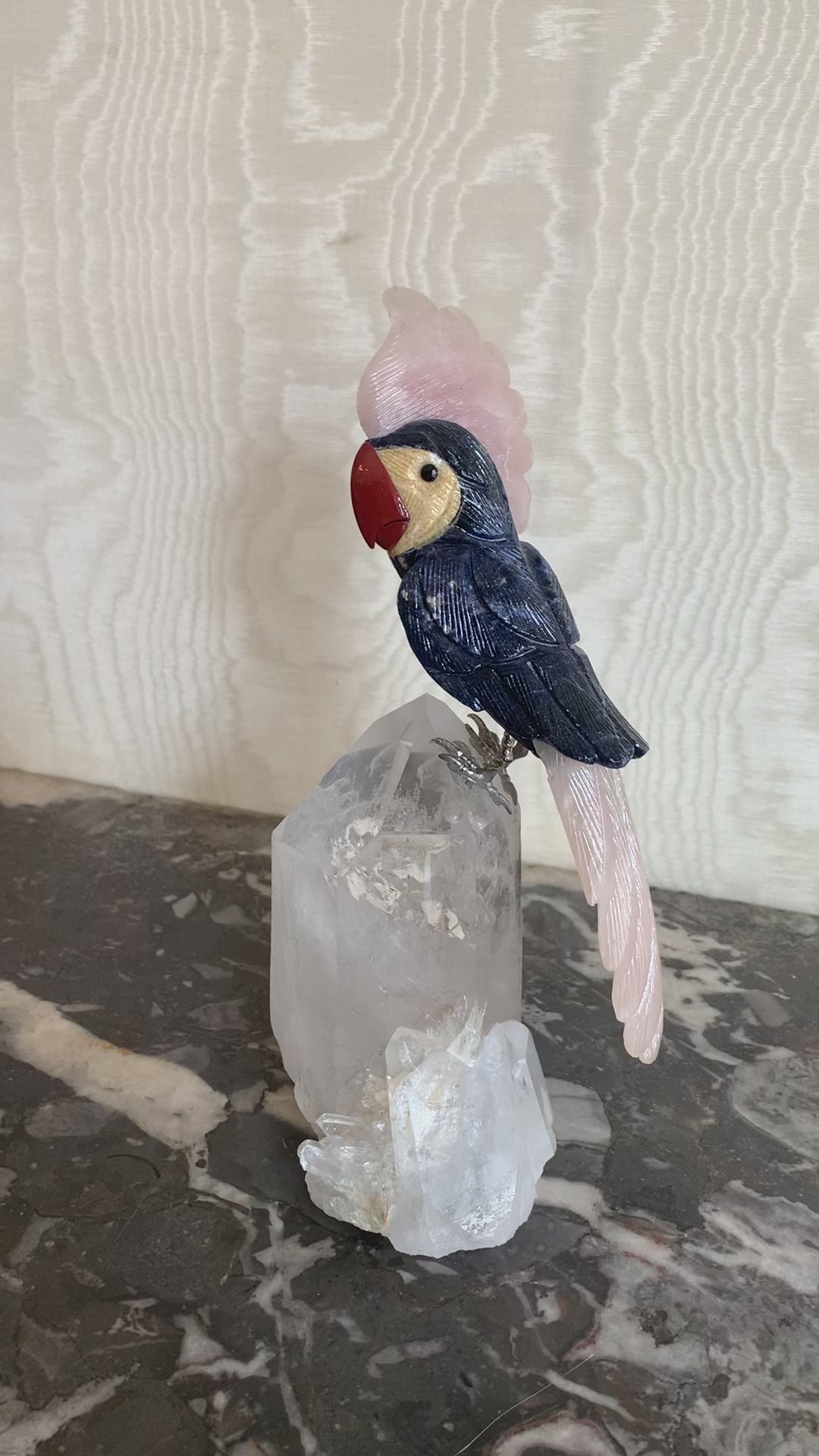 Cacatoès Sodalite Quartz Rose Jaspe Cristal de Roche